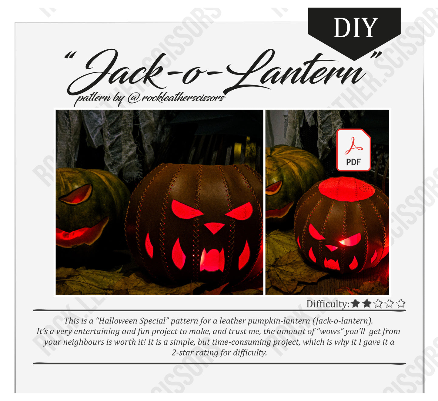 "Robin" bagāžas birkas modelis